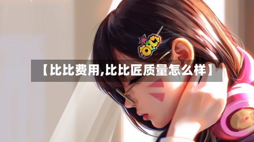 【比比费用,比比匠质量怎么样】