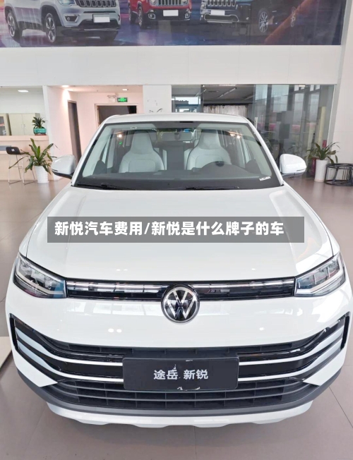 新悦汽车费用/新悦是什么牌子的车-第3张图片
