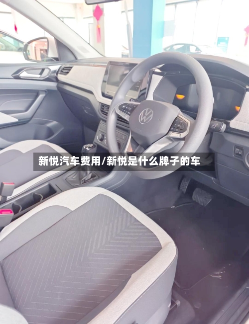 新悦汽车费用/新悦是什么牌子的车