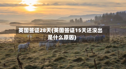 英国签证28天(英国签证15天还没出是什么原因)