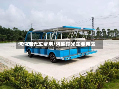 汽油观光车费用/汽油观光车费用表