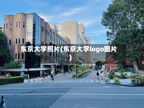 东京大学照片(东京大学logo图片)