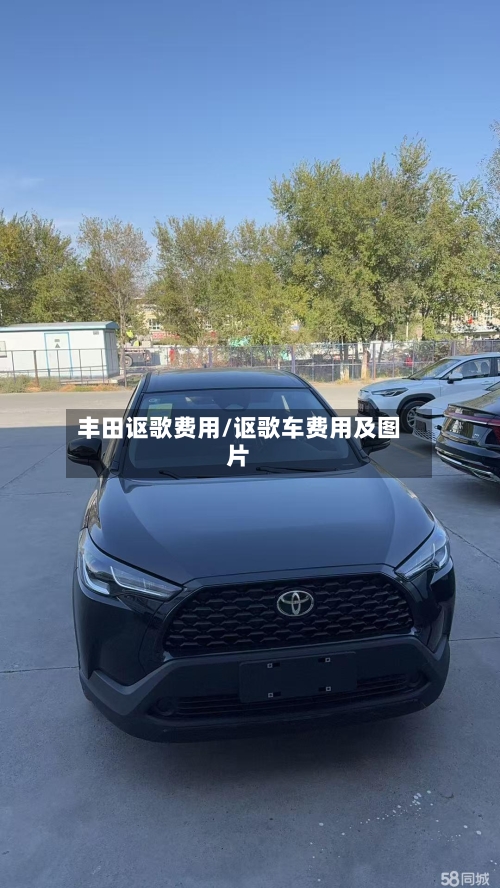 丰田讴歌费用/讴歌车费用及图片