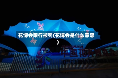 花博会限行被罚(花博会是什么意思)