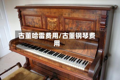 古董哈雷费用/古董钢琴费用-第3张图片