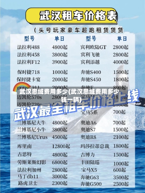 武汉思域费用多少(武汉思域费用多少钱一辆)-第2张图片