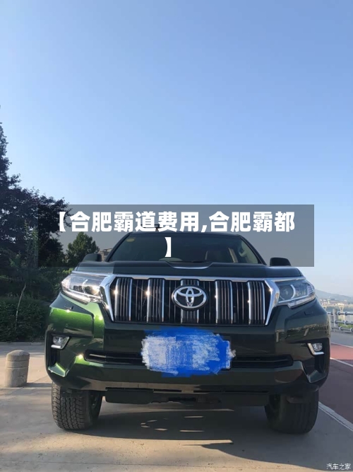 【合肥霸道费用,合肥霸都】