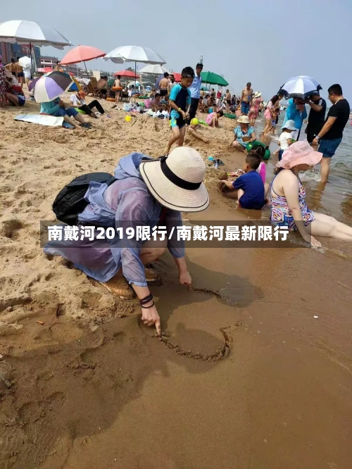 南戴河2019限行/南戴河最新限行