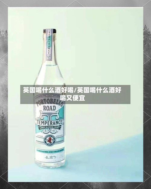 英国喝什么酒好喝/英国喝什么酒好喝又便宜