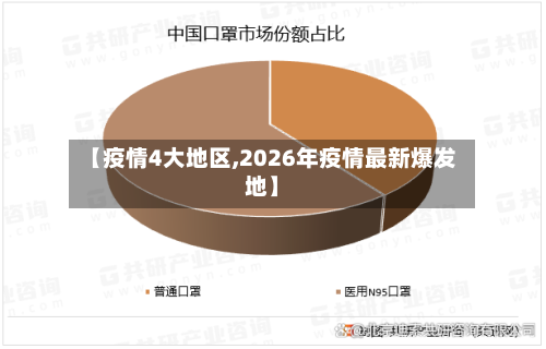 【疫情4大地区,2026年疫情最新爆发地】-第3张图片