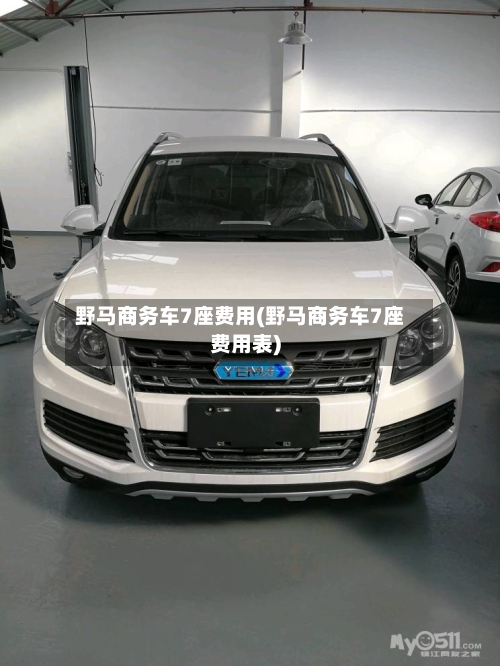 野马商务车7座费用(野马商务车7座费用表)-第2张图片