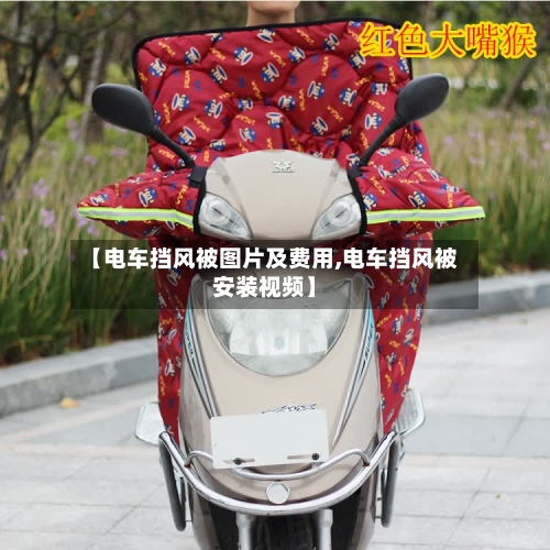 【电车挡风被图片及费用,电车挡风被安装视频】