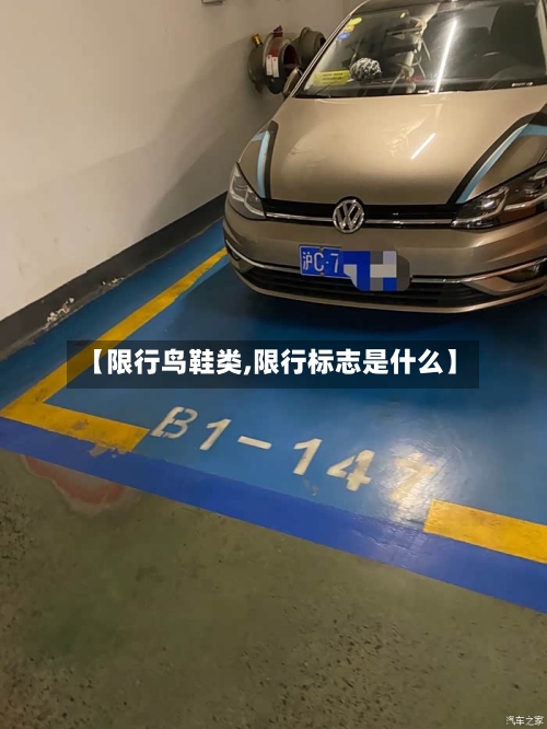 【限行鸟鞋类,限行标志是什么】