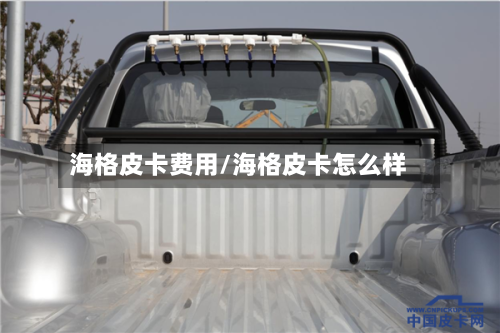海格皮卡费用/海格皮卡怎么样