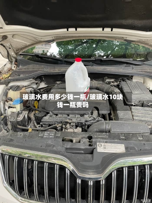 玻璃水费用多少钱一瓶/玻璃水10块钱一瓶贵吗