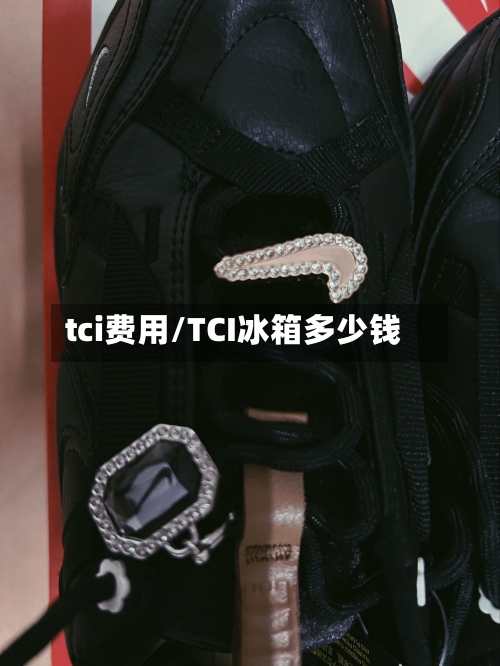 tci费用/TCI冰箱多少钱-第2张图片