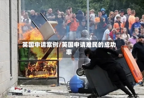 英国申请案例/英国申请难民的成功率-第3张图片