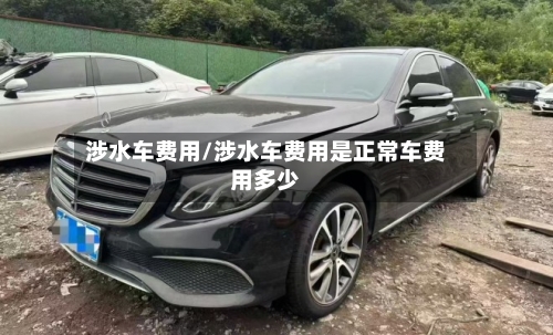 涉水车费用/涉水车费用是正常车费用多少-第2张图片