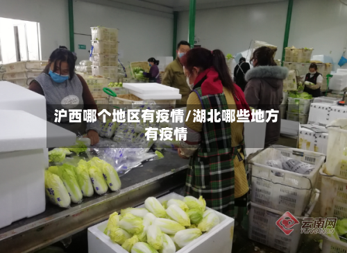 沪西哪个地区有疫情/湖北哪些地方有疫情