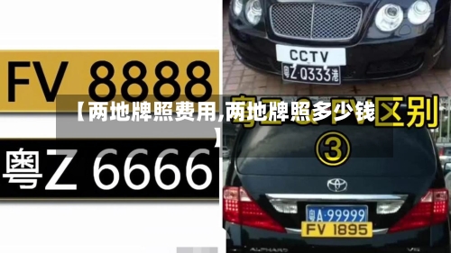 【两地牌照费用,两地牌照多少钱】-第2张图片