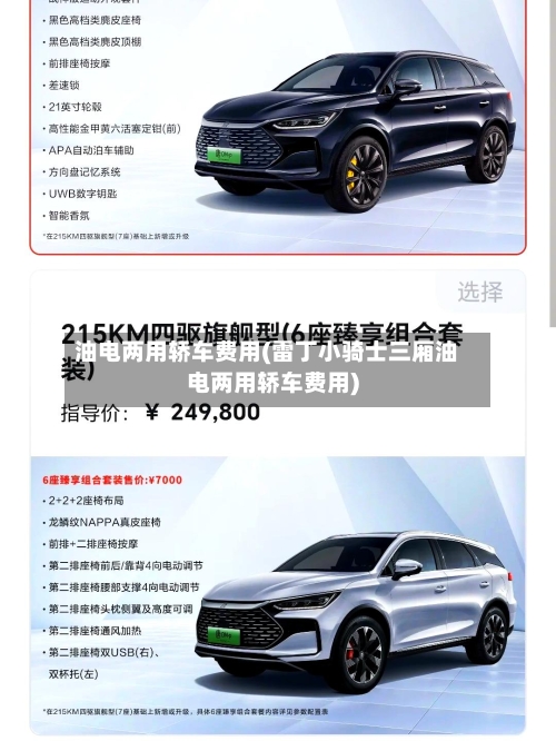 油电两用轿车费用(雷丁小骑士三厢油电两用轿车费用)