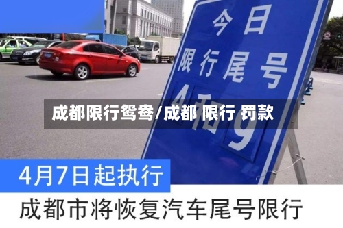 成都限行鸳鸯/成都 限行 罚款-第3张图片