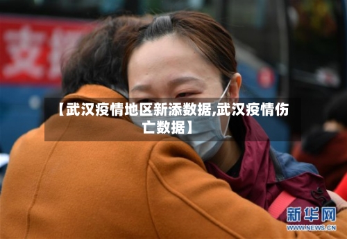 【武汉疫情地区新添数据,武汉疫情伤亡数据】-第2张图片