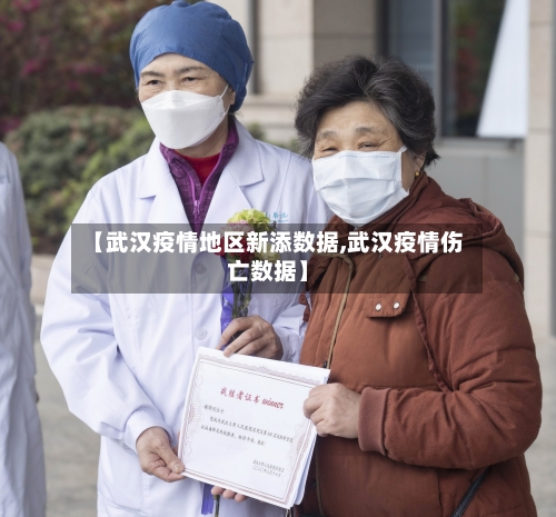 【武汉疫情地区新添数据,武汉疫情伤亡数据】-第3张图片