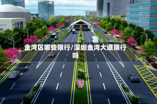 金湾区哪些限行/深圳金湾大道限行吗-第2张图片