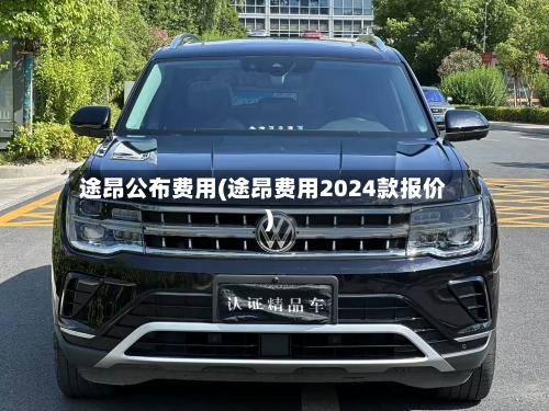 途昂公布费用(途昂费用2024款报价)