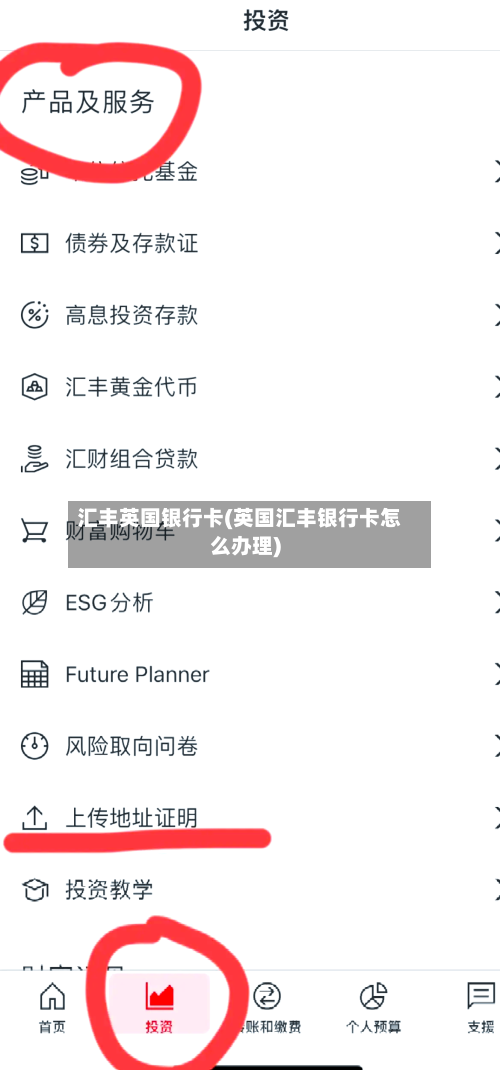 汇丰英国银行卡(英国汇丰银行卡怎么办理)-第3张图片