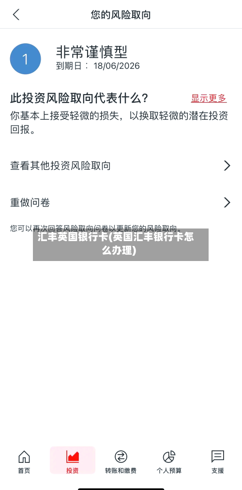 汇丰英国银行卡(英国汇丰银行卡怎么办理)-第2张图片