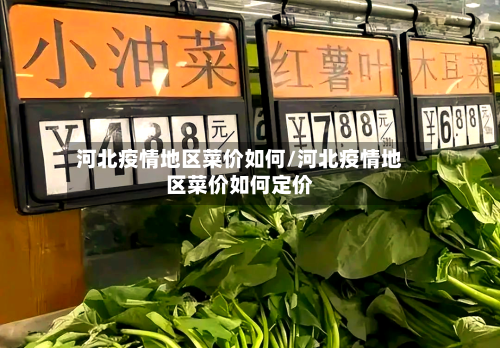 河北疫情地区菜价如何/河北疫情地区菜价如何定价-第2张图片