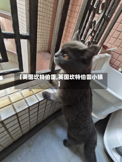 【英国坎特伯雷,英国坎特伯雷小镇】