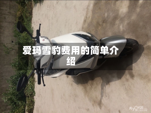 爱玛雪豹费用的简单介绍