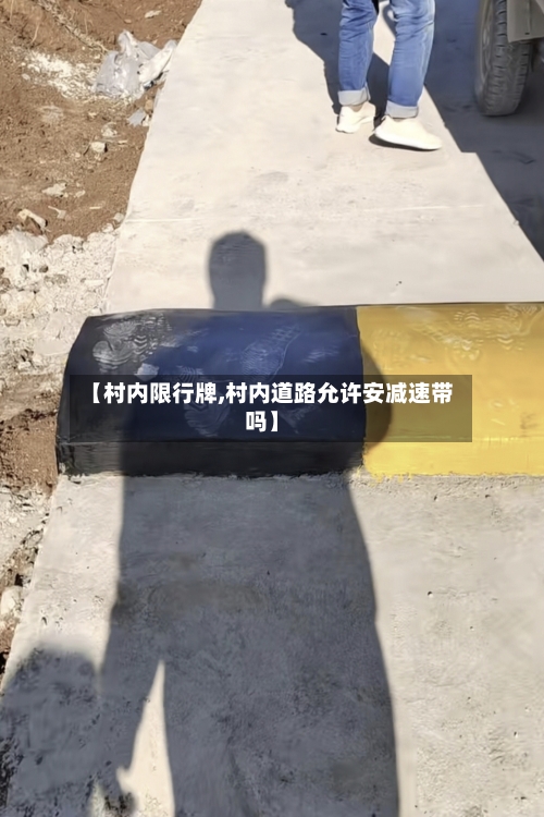 【村内限行牌,村内道路允许安减速带吗】-第3张图片