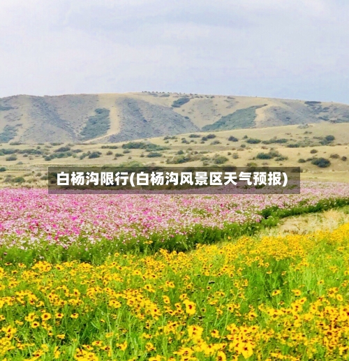 白杨沟限行(白杨沟风景区天气预报)-第2张图片