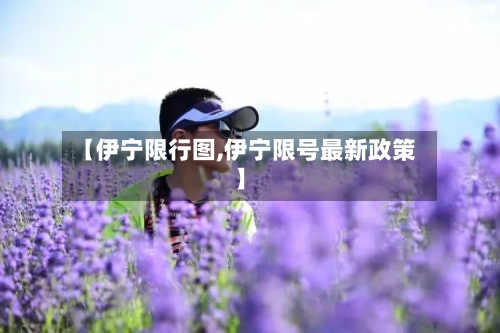 【伊宁限行图,伊宁限号最新政策】
