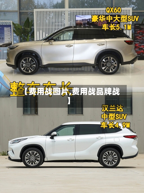 【费用战图片,费用战品牌战】