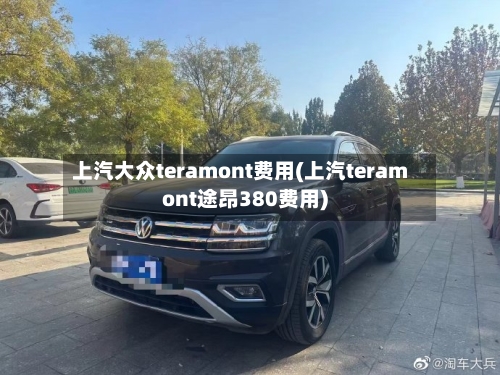上汽大众teramont费用(上汽teramont途昂380费用)-第2张图片