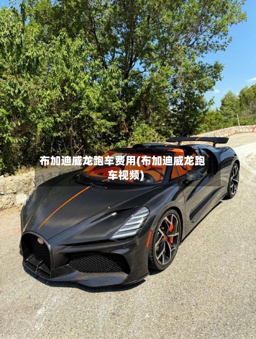 布加迪威龙跑车费用(布加迪威龙跑车视频)