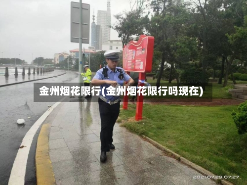 金州烟花限行(金州烟花限行吗现在)-第2张图片