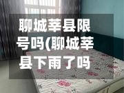 聊城莘县限号吗(聊城莘县下雨了吗今天)-第2张图片