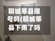 聊城莘县限号吗(聊城莘县下雨了吗今天)