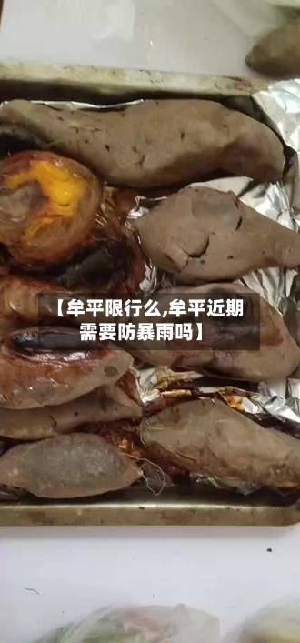 【牟平限行么,牟平近期需要防暴雨吗】
