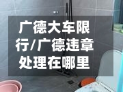 广德大车限行/广德违章处理在哪里