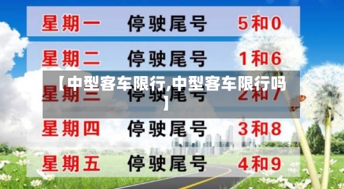 【中型客车限行,中型客车限行吗】-第2张图片