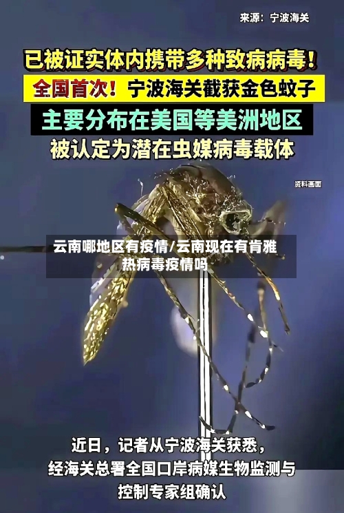 云南哪地区有疫情/云南现在有肯雅热病毒疫情吗-第2张图片