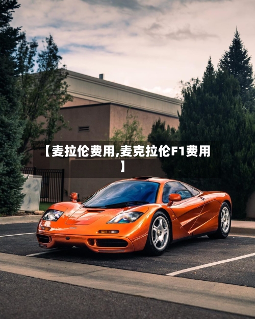 【麦拉伦费用,麦克拉伦F1费用】-第2张图片