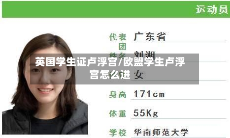英国学生证卢浮宫/欧盟学生卢浮宫怎么进